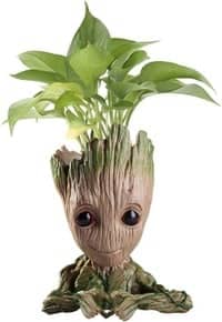 Groot planter