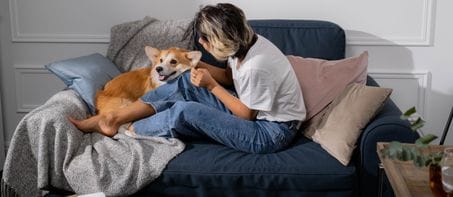 Become A Caretaker For Pets