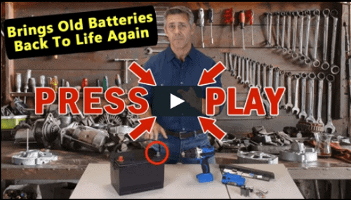 EZ Battery Reconditioning Charger
