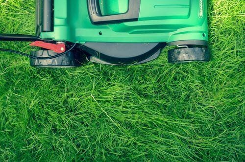start a landscaping service to make money