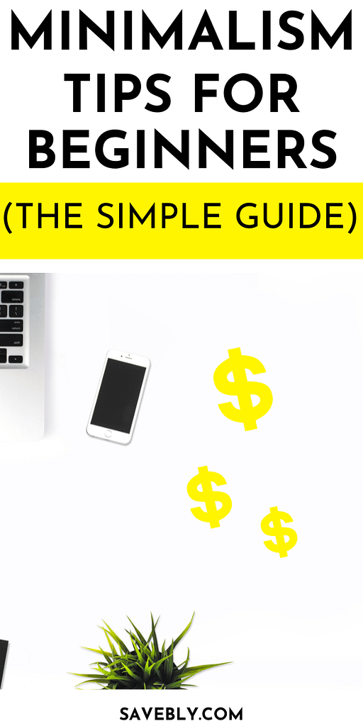Minimalist Tips For Beginners (The Simple Guide)