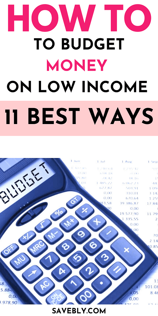 How To Budget Money On Low Income (11 Best Ways)