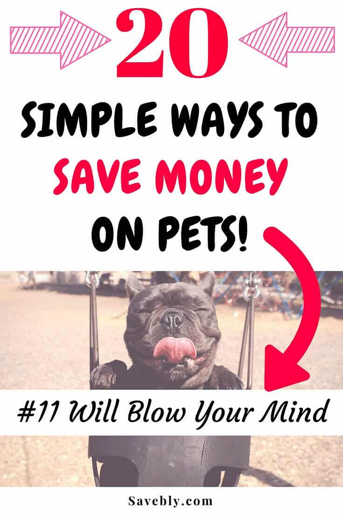 20 Simple Ways To Save Money On Pets