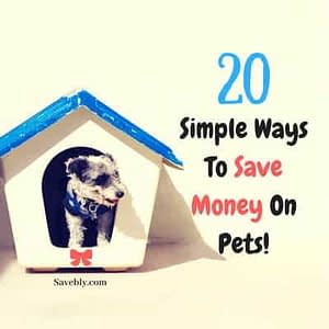 We love our pets to death but we also know that they can get pretty EXPENSIVE!! It's the truth but there are ways how you can save money on your pet and keep that CASH in your pocket! Whether you have a dog, cat, bird, hamster, etc... Check out this AMAZING post where you can find 20 SIMPLE WAYS TO SAVE MONEY ON PETS! Don't overpay for your little family member. Save your money and use it wisely! This post is a life changer!! #money #finance #pets #animals
