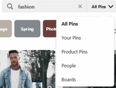 Pinterest search options