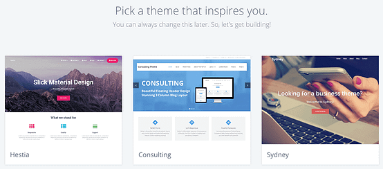 Pick your WordPress theme for your website or blog